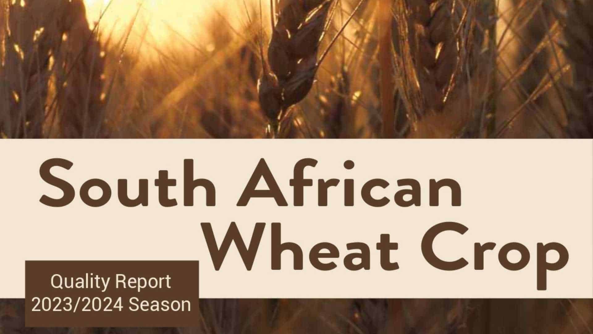 pop-up banner for the Wheat Crop Quality Report 2023/2024