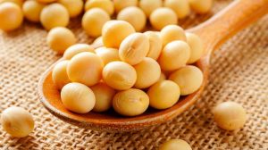 Soybeans import Projects