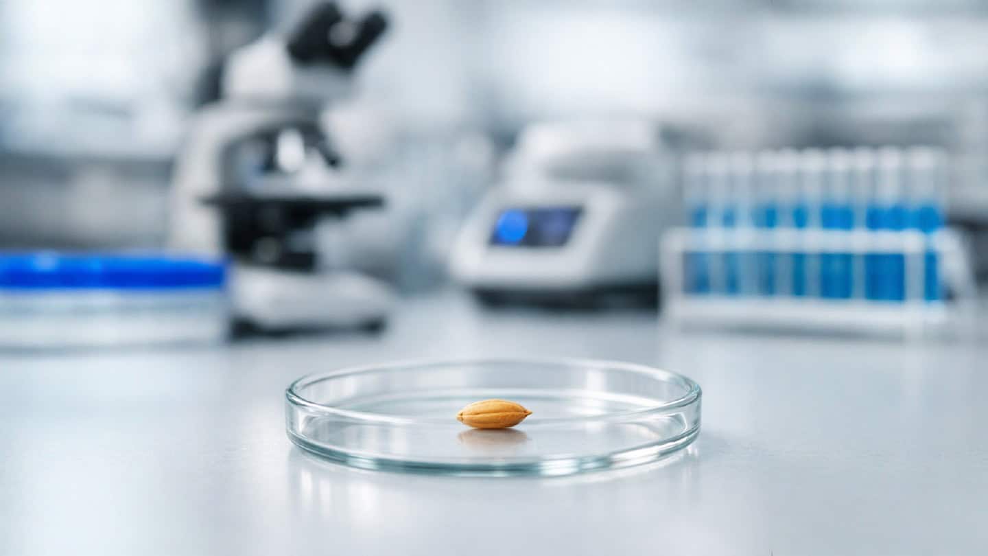 Elevating Laboratory Standards: 2026 Technical Training at SAGL - Featured Image